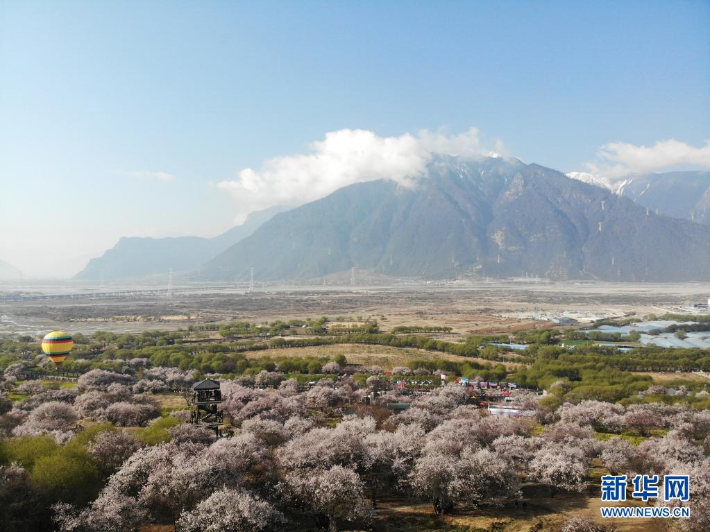 心手相牵，共筑雪域高原中国梦——以习近平同志为核心的党中央关心西藏发展纪实